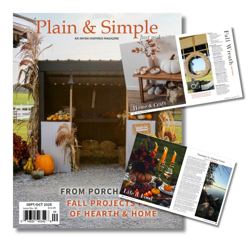Plain Simple Magazine Oct 2025
